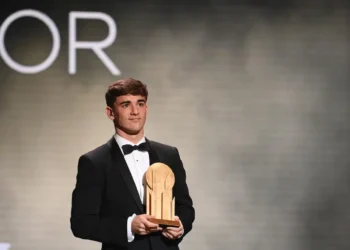 El patrimonio neto de Gavi