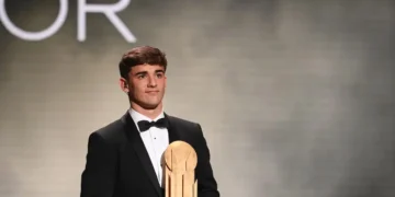 El patrimonio neto de Gavi